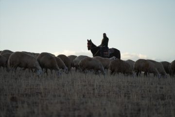 Medya Sektöründen Köy Hayatına Büyük Geçiş: Mehmet Özmen’in Huzur Bulduğu Yeni Yaşamı