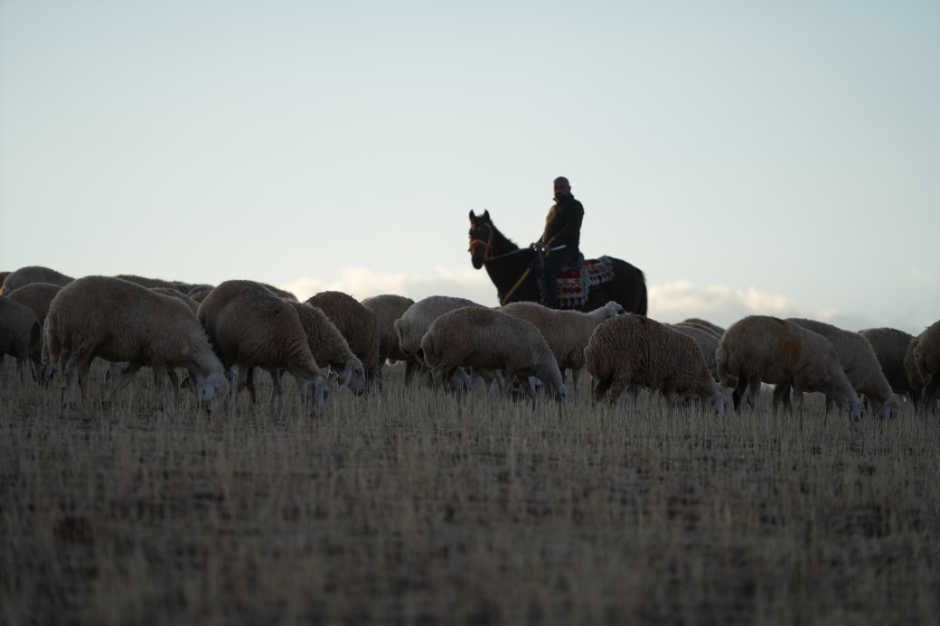 Medya Sektöründen Köy Hayatına Büyük Geçiş: Mehmet Özmen’in Huzur Bulduğu Yeni Yaşamı