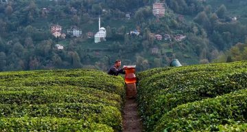 Rize’de Gerçek Üstü Dev Çay Bardağı Sosyal Medyayı Salladı!