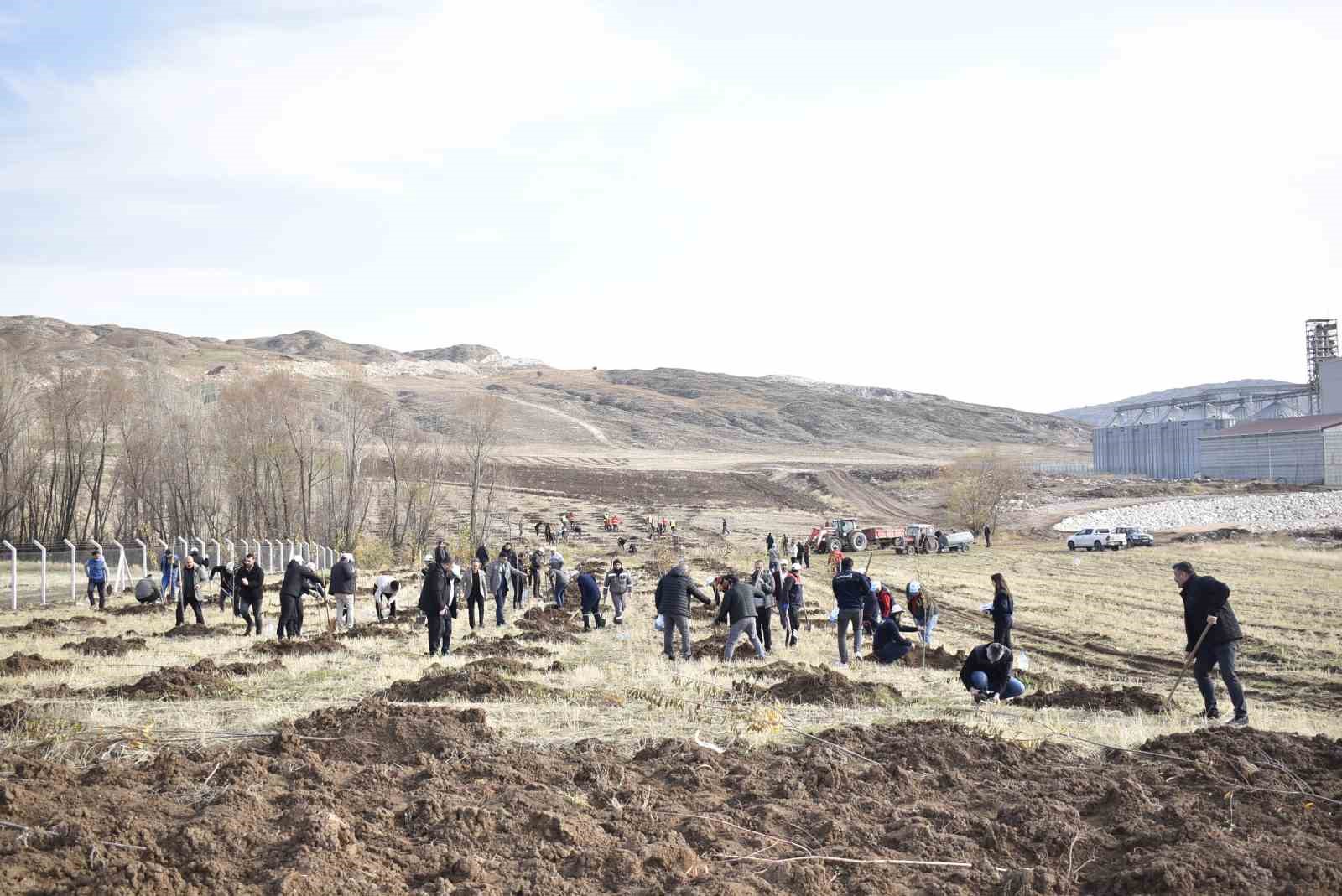 Sivas Organize Sanayi Bölgesi’nde Çevreci Bir Adım: Binlerce Fidan Toprağa Kavuştu
