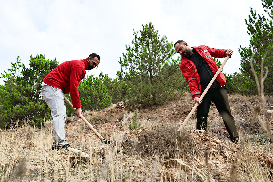 Sivas’ta 90 Bin Fidan Toprakla Buluştu: Milli Ağaçlandırma Günü Coşkusu