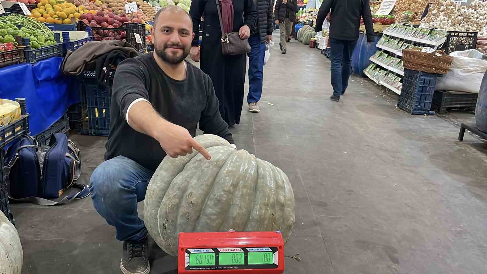 Sivas’ta Devasa 60 Kilogramlık Bal Kabağı Şaşkınlık Yarattı