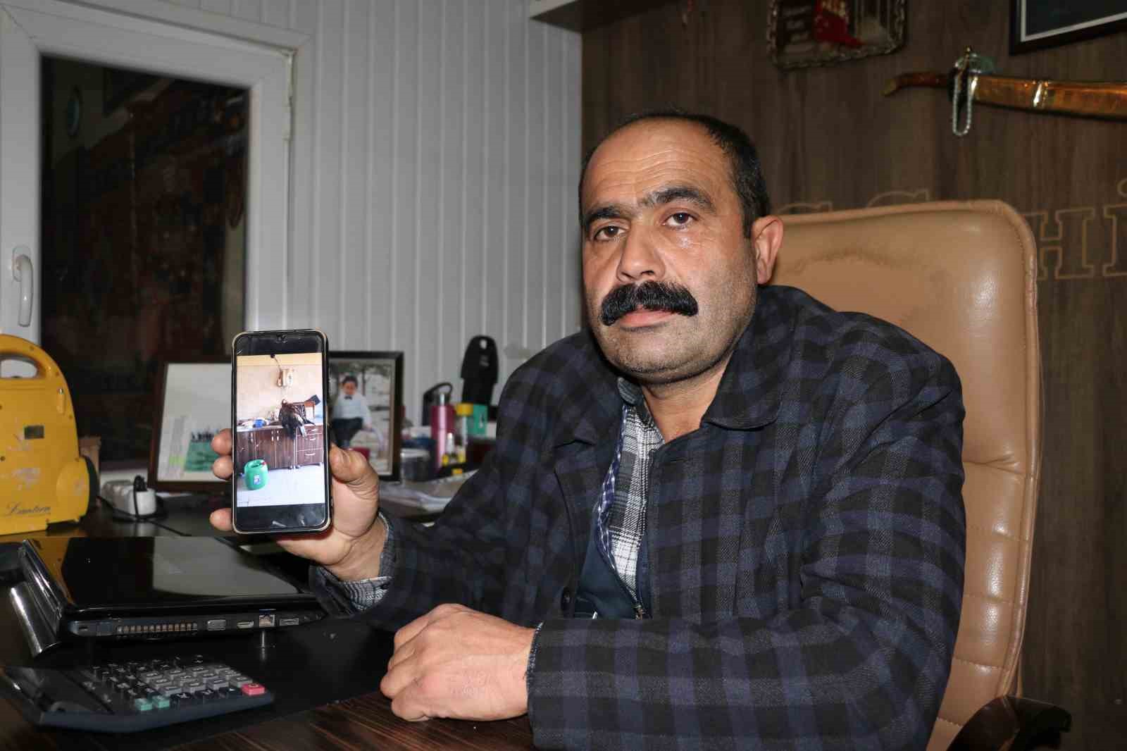 Sivas’ta Esnaf, Bahçesine Düşen Yaralı Kartalı Kurtardı