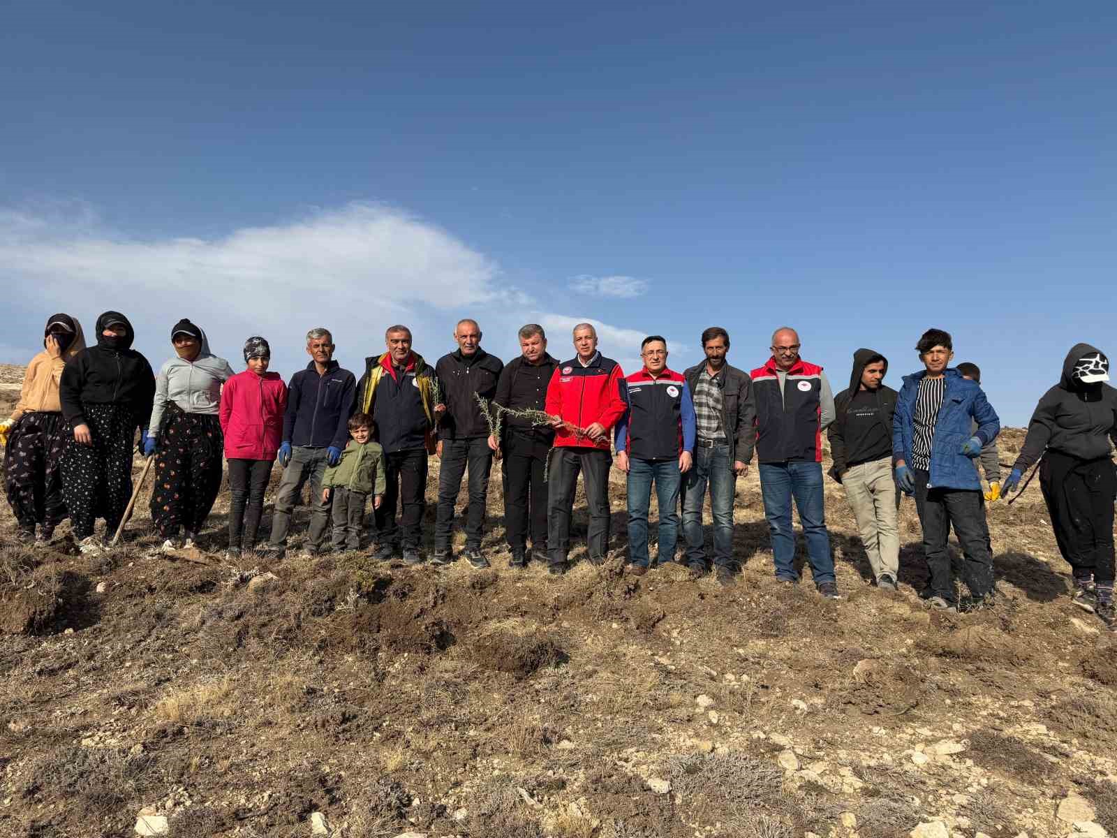 Sivas’ta Meraların Yeşil Dönüşümü: Binlerce Tuz Çalısı Dikiliyor