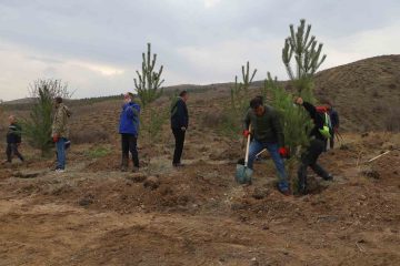 Sivas’ta Yeni Bir Yeşil Alan: 58 Bin Fidan Dikildi