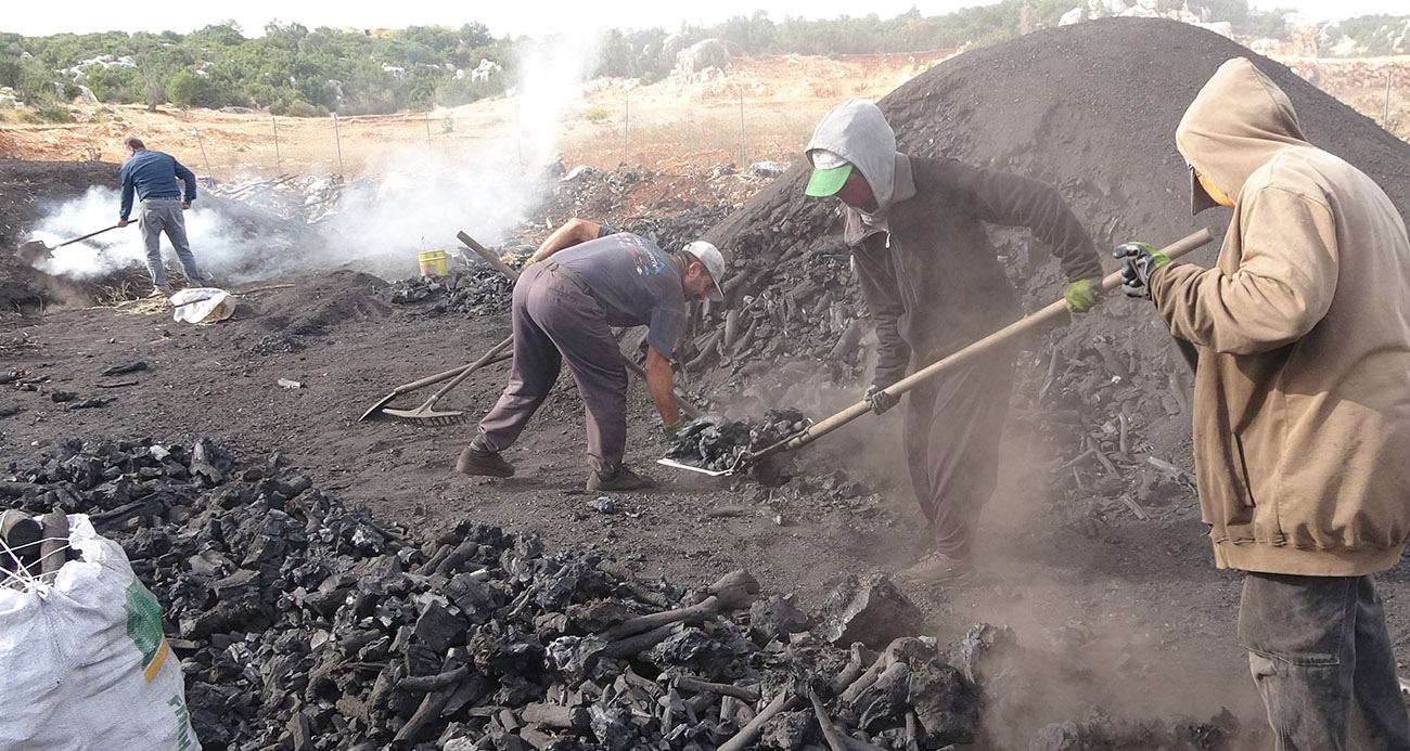 Toros Dağları’nda Kömür Üretimi: Ailelerin Zorlu Geçim Kaynağı