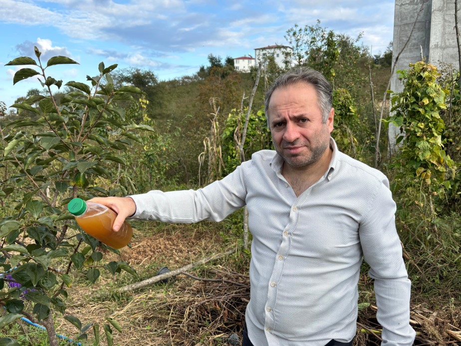 Trabzonlu Üreticiden Doğal Yöntem: Kahverengi Kokarcaya Karşı Kadife Çiçeği ve Soğan Kürü