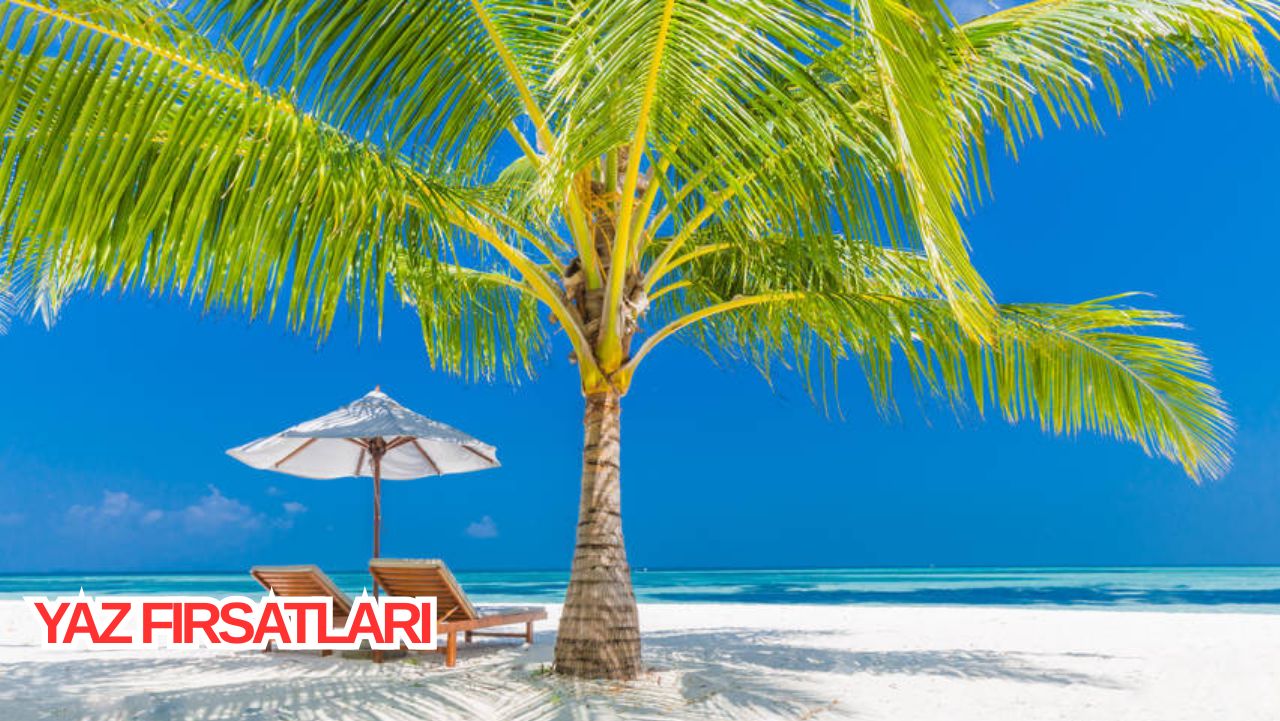 Yaz Fırsatları
