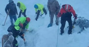 Artvin Ardanuç’ta Çığ Felaketi: Bir Çoban Hayatını Kaybetti