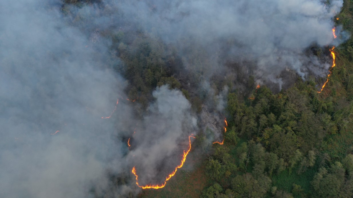 Artvin Hopa’da Orman Yangını Kontrol Altına Alındı