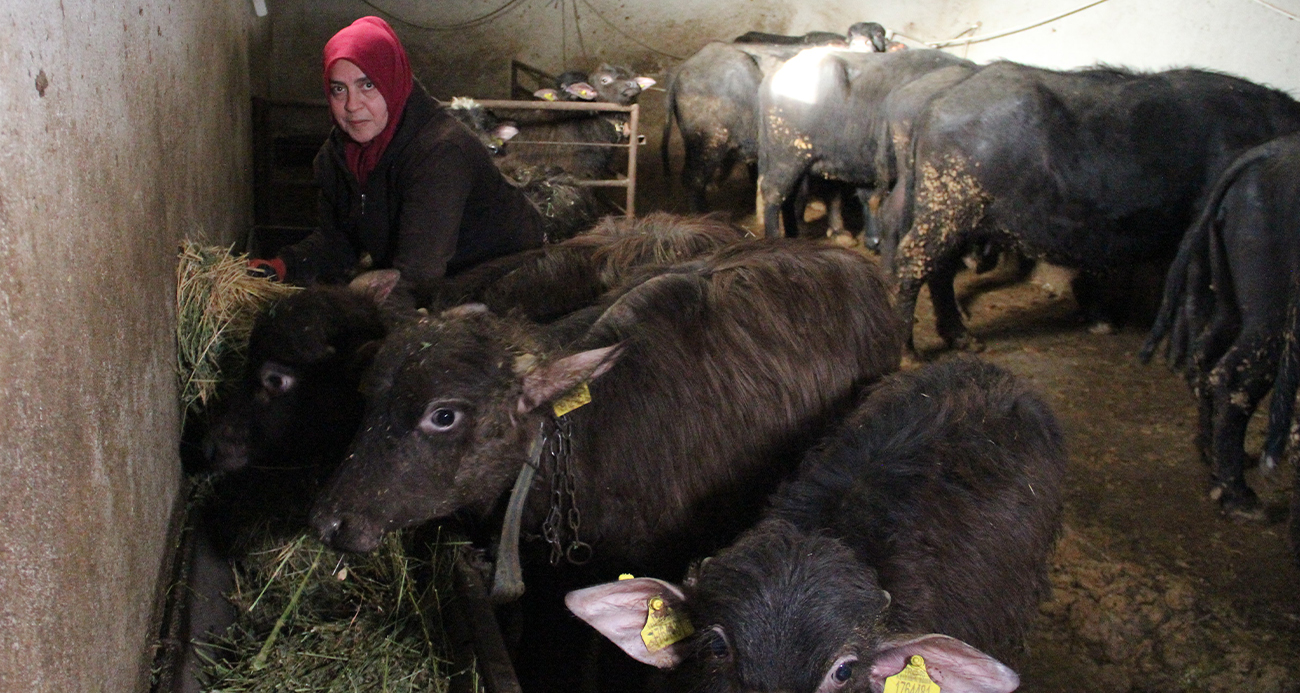 Çorum’da Bir Kadın Girişimcinin Başarı Hikayesi: 11 Mandadan Büyük Bir İşletmeye