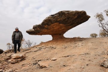 Diyarbakır Kocaköy’de Tarih Öncesi Dönemlere Ait Buzul Dönemi Kalıntısı Keşfedildi