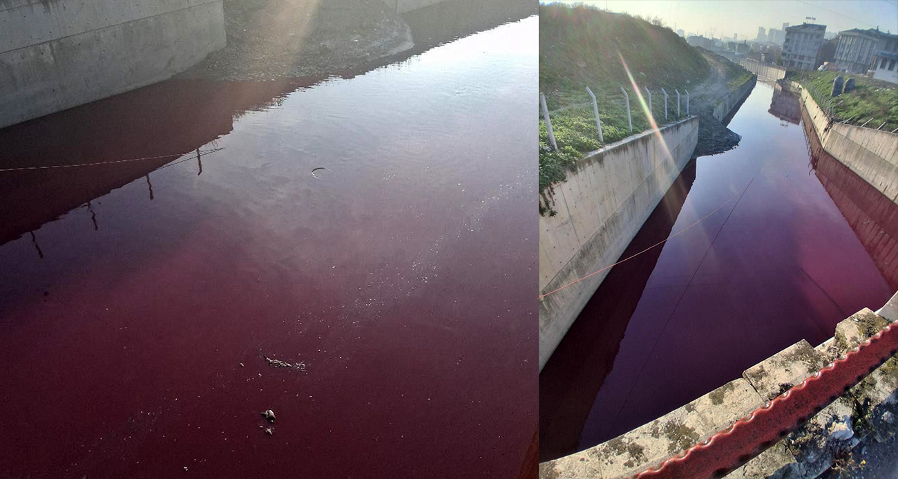 Esenyurt Haramidere’nin Suları Kızıla Boyandı