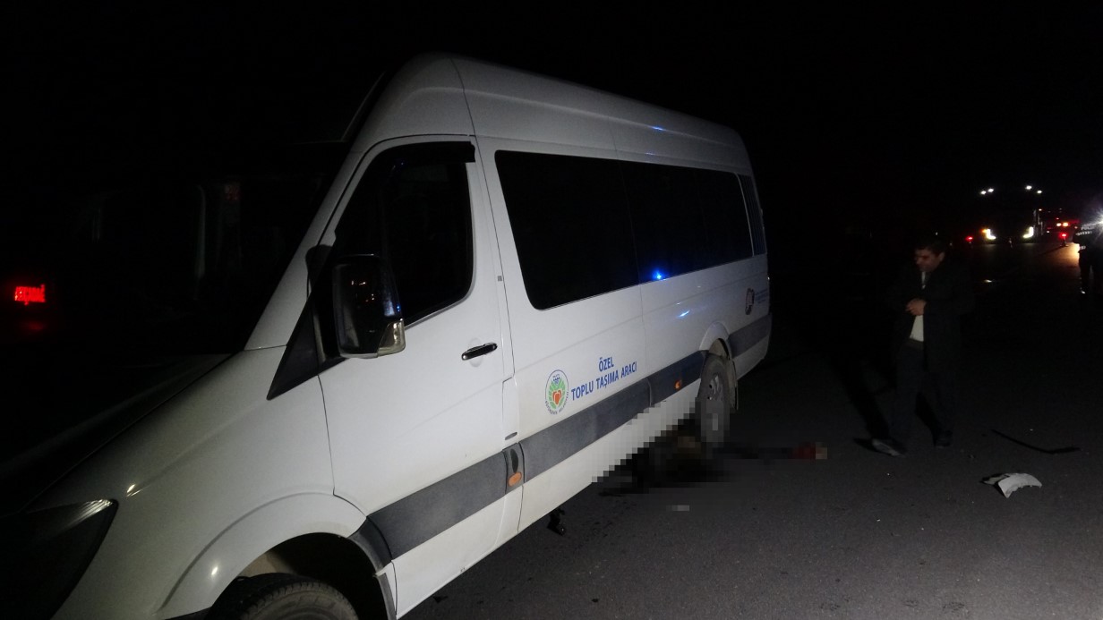 Malatya’da Dehşet Verici Kaza: Yarış Tayları Araç Kazasında Hayatını Kaybetti