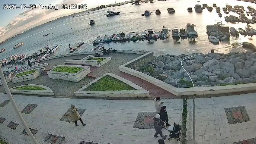 Pendik’te Bir Kedinin Denize Atılması Büyük Tepki Çekti