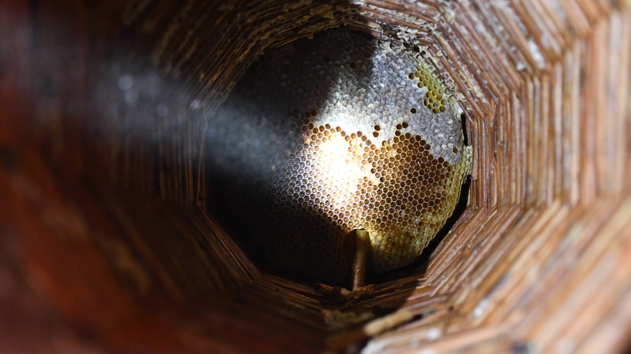 Şırnak’ta Bir Evden Arıcılık Harikası: Misafir Odası, Kışın Arılara Yurt Oluyor