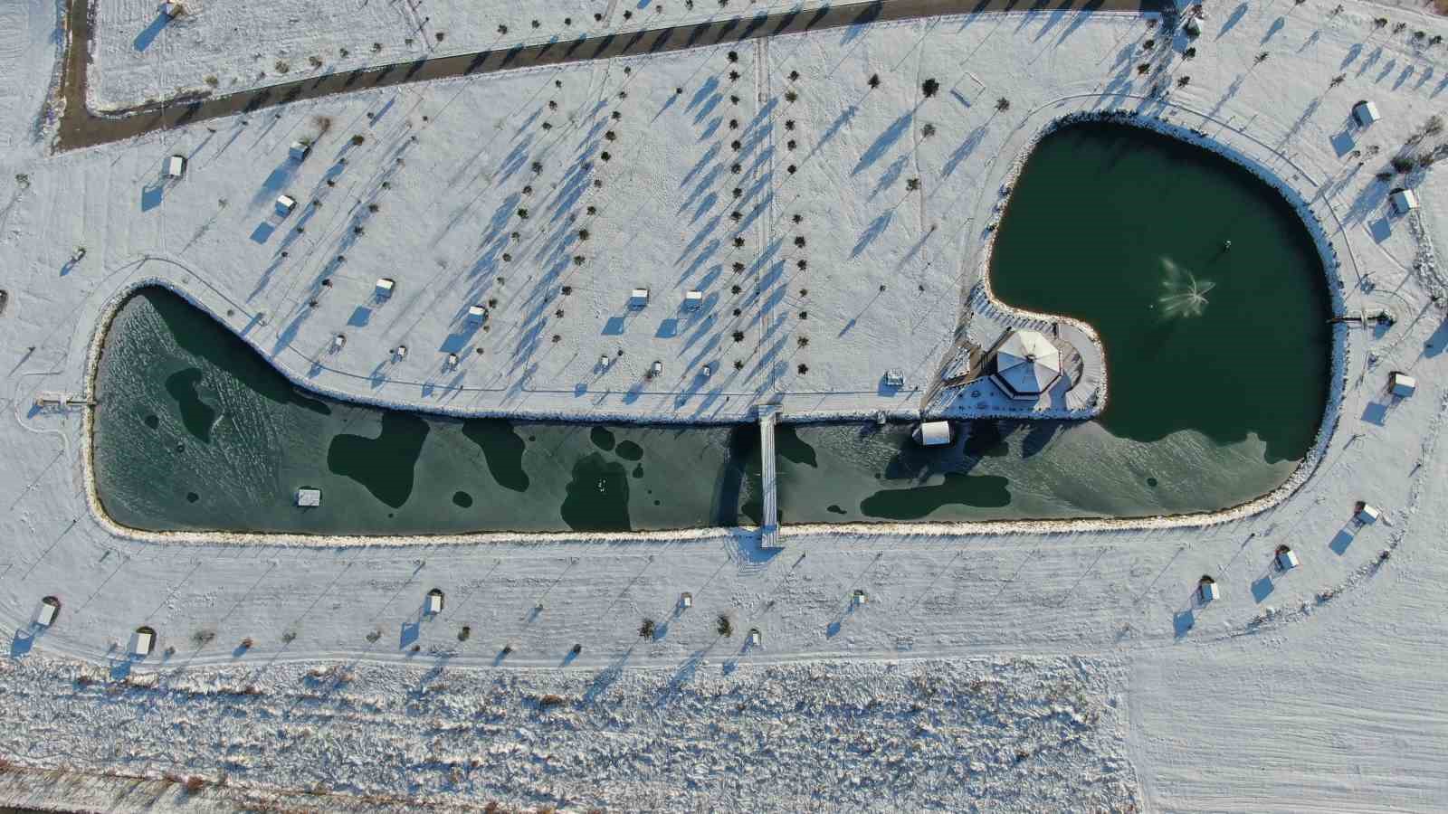 Sivas’ta Kış Manzaraları: Üniversite Göleti Dondu, Ördekler Buz Tutan Suda