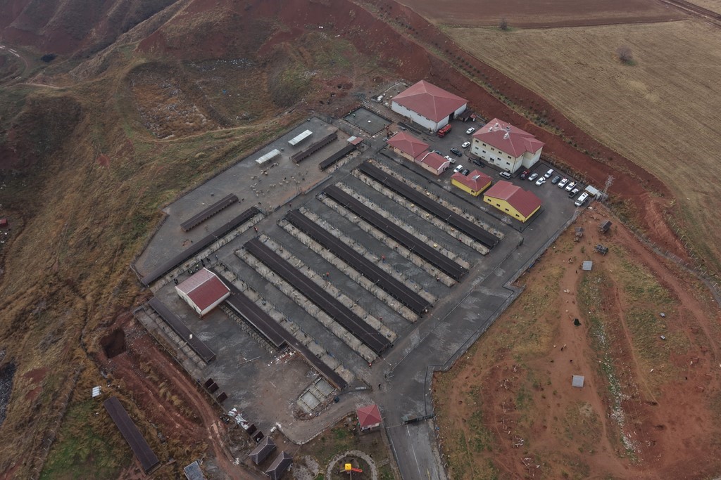 Sivas’ta Sokak Hayvanları İçin Büyük Dönüşüm Projesi Başladı