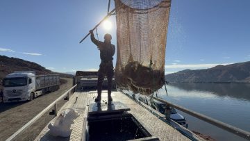 Tokat’tan Dünya Sofralarına: Denizi Olmayan Şehrin Somon İhracatı