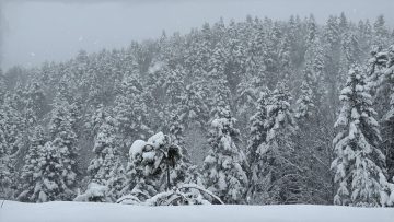 Türkiye Genelinde Soğuk Hava ve Kar Yağışı Etkili Oluyor