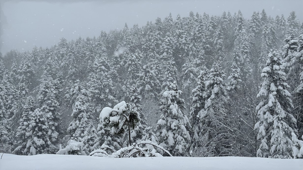 Türkiye Genelinde Soğuk Hava ve Kar Yağışı Etkili Oluyor