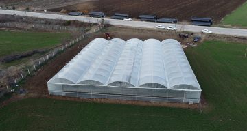 Adana İmamoğlu’nda Devlet Destekli Seralar Üretime Başladı