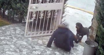 Ankara Elmadağ’da Sokak Köpeklerinin Saldırısına Uğrayan Kadın Kurtarıldı