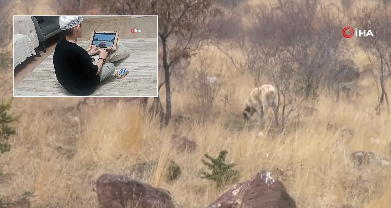 Ankara’da Köpek Saldırısına Uğrayan Çocuk İçin Aileye 5 Milyon Lira Tazminat Kararı