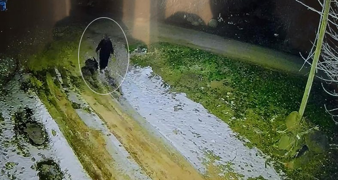 Diyarbakır’da Kaybolan Kadının Son Görüntüleri Bulundu