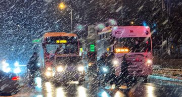 Edirne Balkan Soğuklarıyla Beyaza Büründü