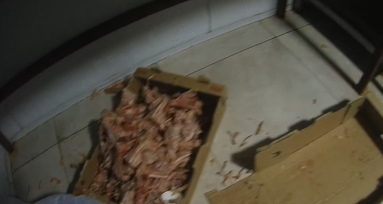 Kocaeli Çayırova’da Ruhsatsız Tavuk Parçalama Tesisi Mühürlendi