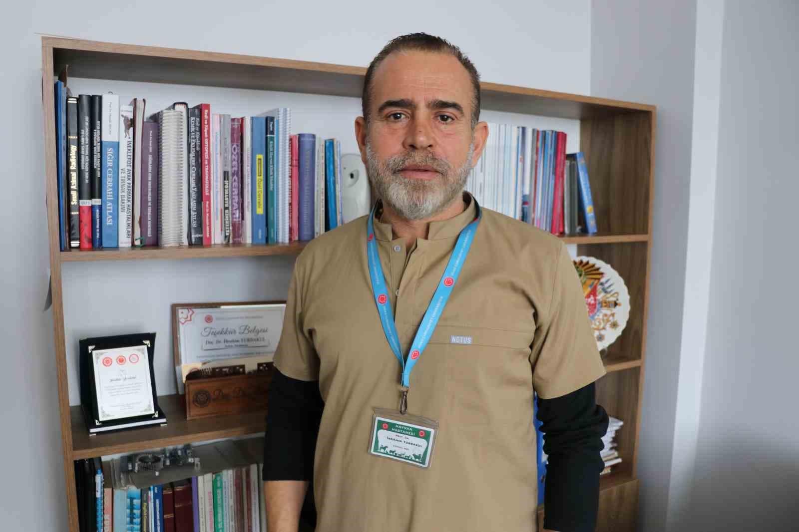 Kurtların Yerleşim Yerlerine İnmesi Artık Normalleşiyor