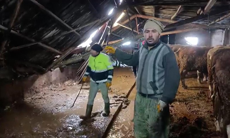 Sivas Altınyayla’da Karın Ağırlığına Dayanamayan Ahır Çöktü