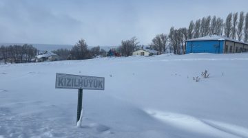 Sivas Altınyayla’da Kurt Tehlikesine Karşı Önlem Alındı
