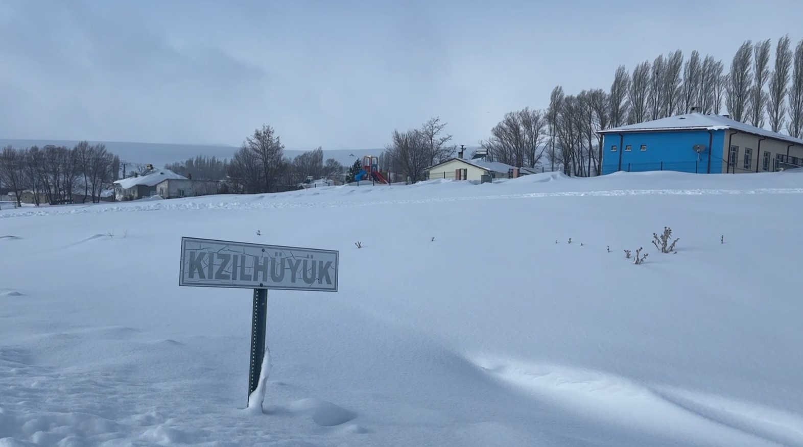 Sivas Altınyayla’da Kurt Tehlikesine Karşı Önlem Alındı