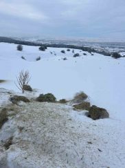 Sivas Cumhuriyet Üniversitesi Yabani Hayvanlar İçin Doğaya Yem Bıraktı