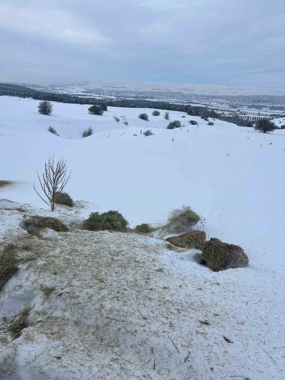 Sivas Cumhuriyet Üniversitesi Yabani Hayvanlar İçin Doğaya Yem Bıraktı
