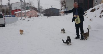 Sivas’ın Küçük Köyünde Kışın Yalnızca Bir Aile Kalıyor