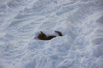 Sivas’ta Kış Hüküm Sürüyor: Kızılırmak’ın Yüzeyi Buzla Kaplandı