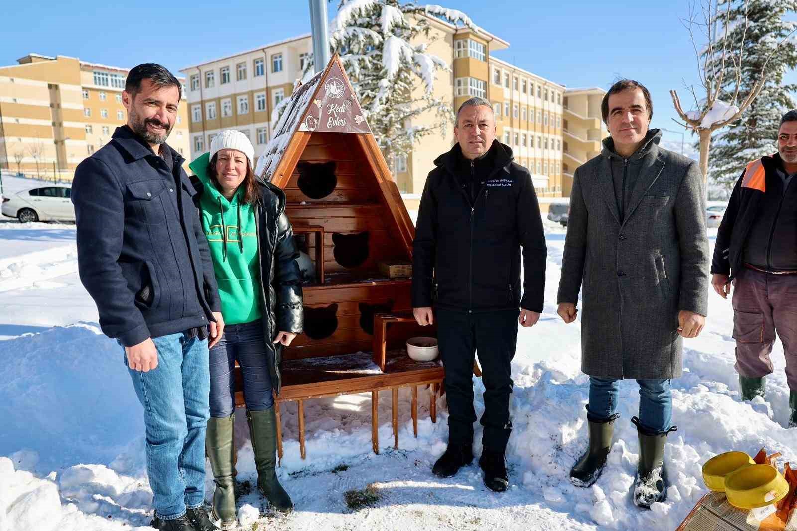 Sivas’ta Sokak Hayvanlarına Sıcak Yuva: Kedi Evleri Projesi