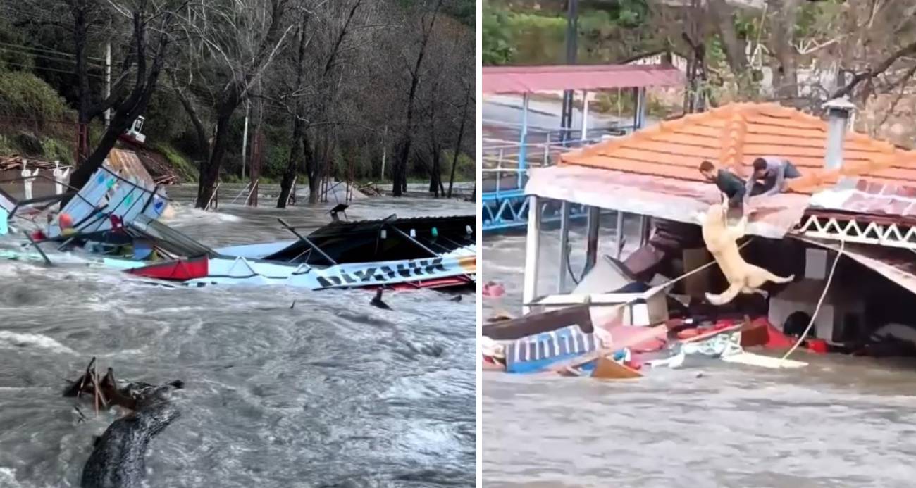Alanya’da Şiddetli Yağış Sonucu Çay Taştı, Bir Köpek Son Anda Kurtarıldı