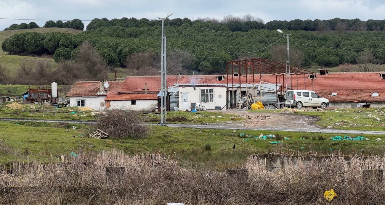 Arnavutköy’de Çiftlik Evinde Elektrikli Testereyle Saldırı