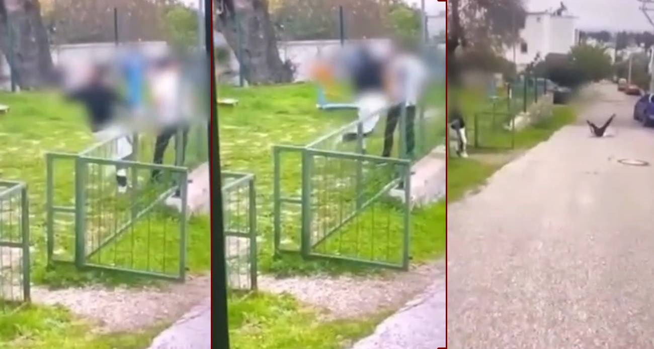 Bodrum’da Akran Zorbalığı: Genç Çocuk Darp Edilerek Bayıltıldı