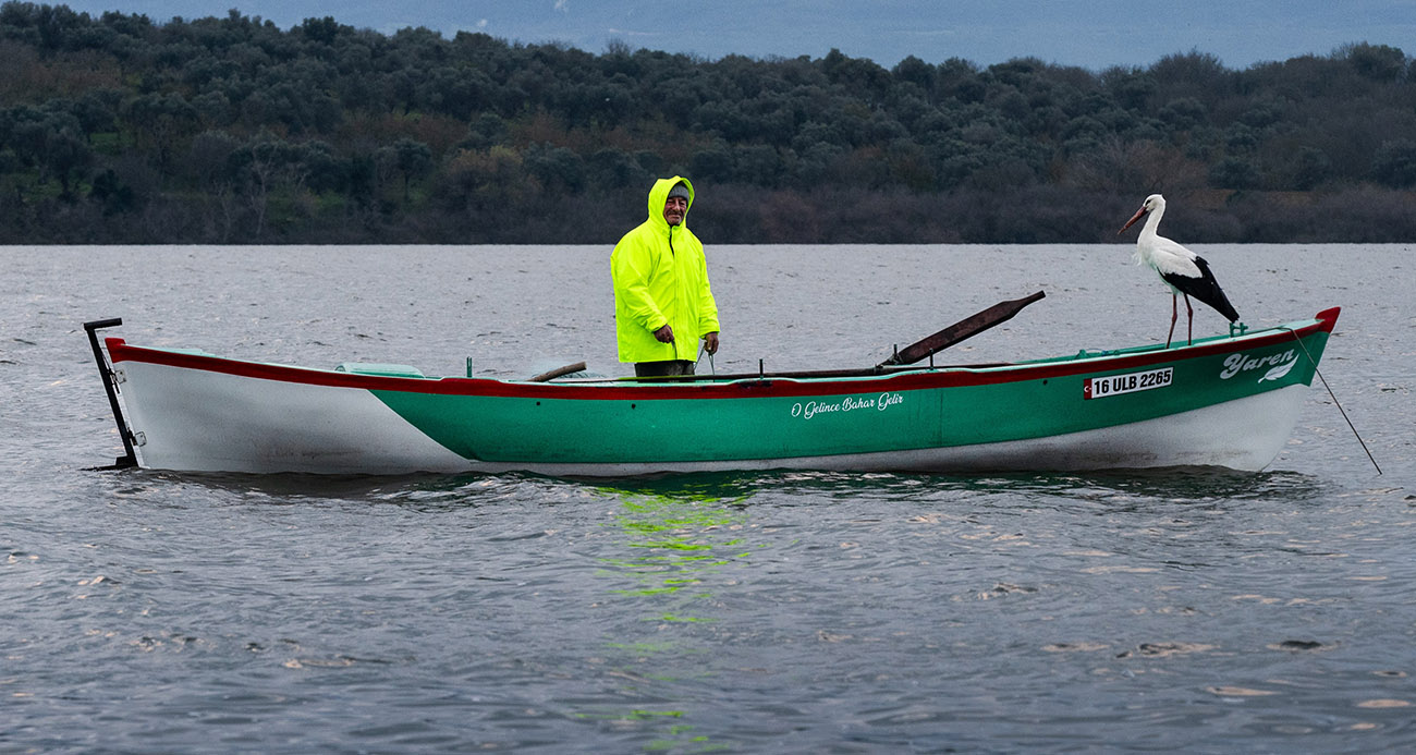 Bursa’da Dostluk Sembolü Yaren Leylek, 15. Yılında Yine Adem Amca ile Buluştu
