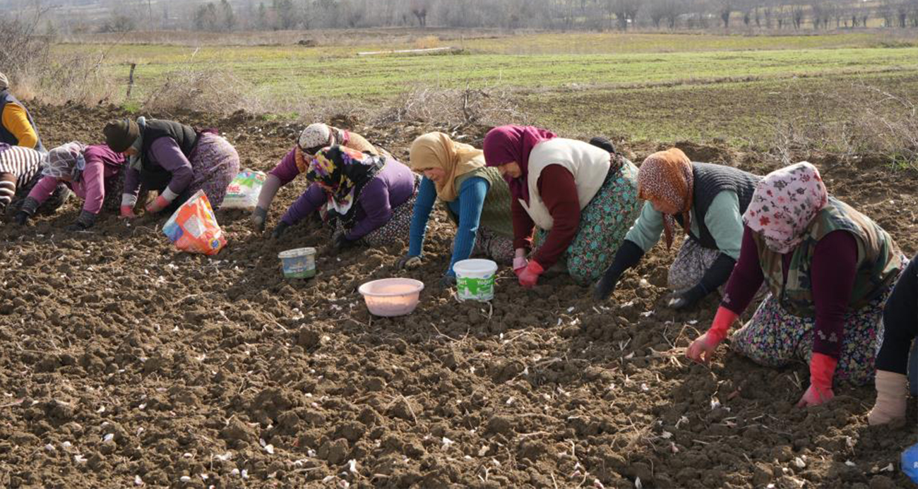 Büyük Şehrin Karmaşasından Kaçıp Toprağa Dönen Anne: Elife Öz’ün Hikayesi