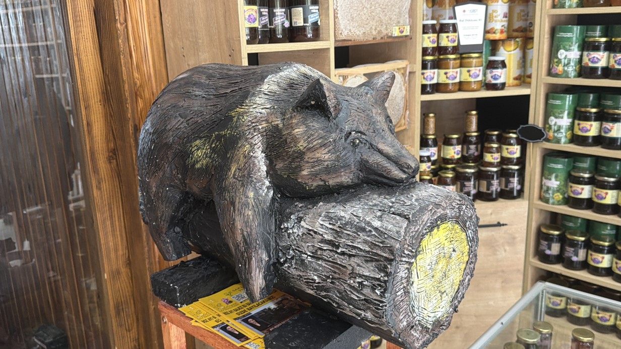 Düzce’deki Ayı Olayı Bölgesel Bal Satışlarını Artırdı