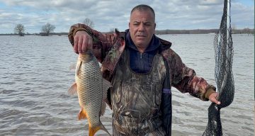 Edirne’de Tarlaları Sular Altında Bırakan Meriç Nehri, Sazan Balıklarını da Ağırladı