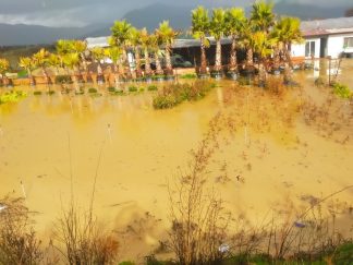 İzmir’de Sağanak Yağışların Etkileri: Yollar ve Tarım Alanları Sular Altında