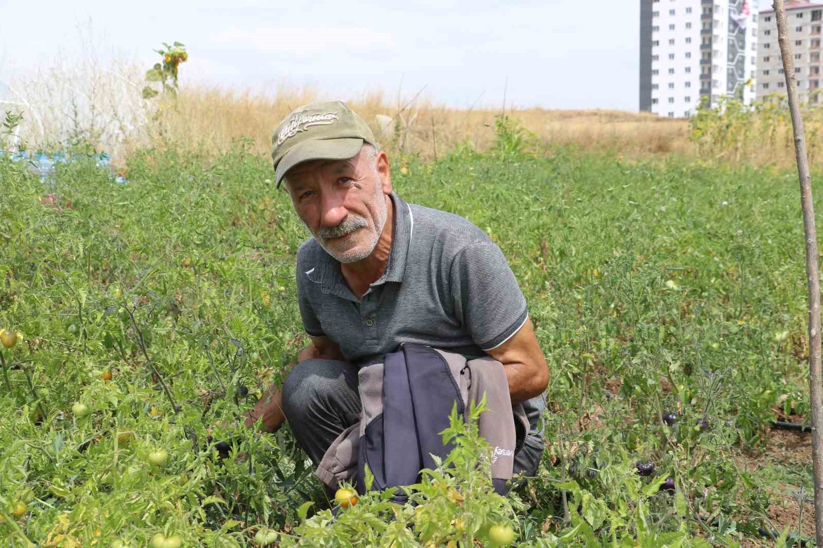 Kanserle Mücadelesine Rağmen Ata Tohumlarına Adanmış Bir Hayat: Mustafa Bakay’ın İlham Verici Yolculuğu