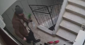 Konya’da Sıra Dışı Hırsızlık: Marka Ayakkabıları Reddedip Süs Çiçeğini Çaldı